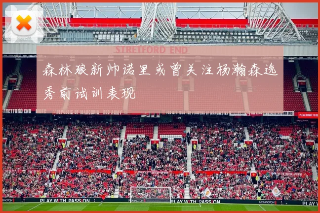 森林狼新帅诺里或曾关注杨瀚森选秀前试训表现
